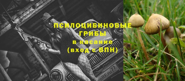 MDMA Premium VHQ Рославль