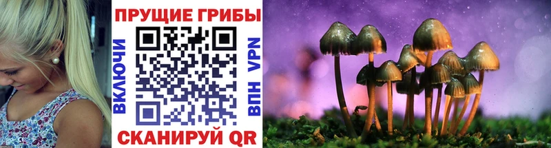Псилоцибиновые грибы ЛСД Агрыз
