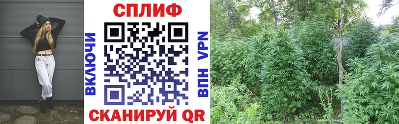 mega вход  где купить наркотик  Агрыз  Каннабис MAZAR 